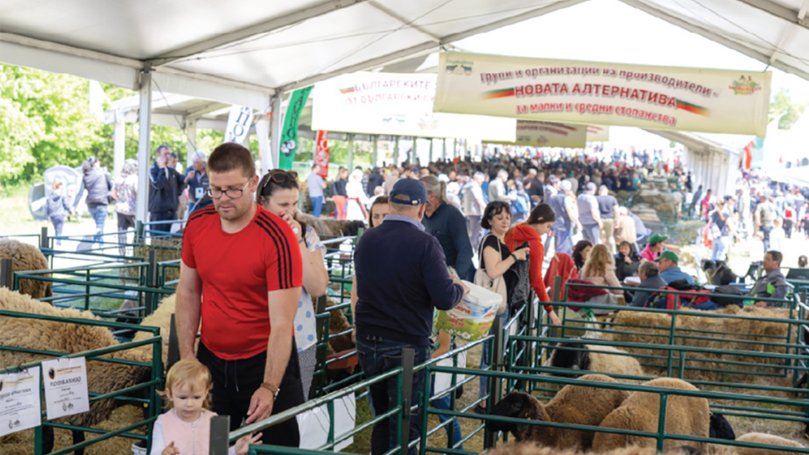 National Sheep Breeders' Festival starts near Saints Peter and Paul Monastery