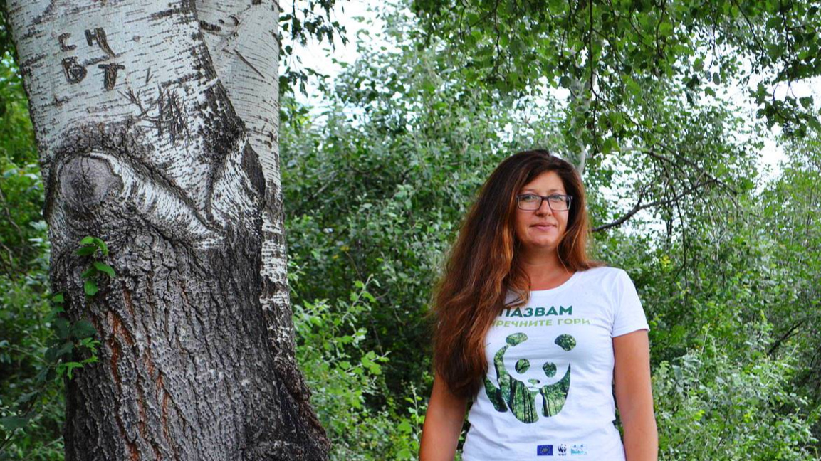 Нели Дончева, ръководител на програма "Гори" в природозащитната организация WWF България