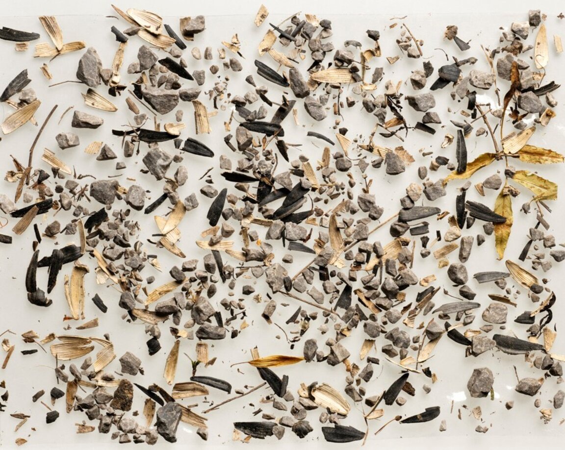 "Мръсно" е изложба, която открива красотата в боклука