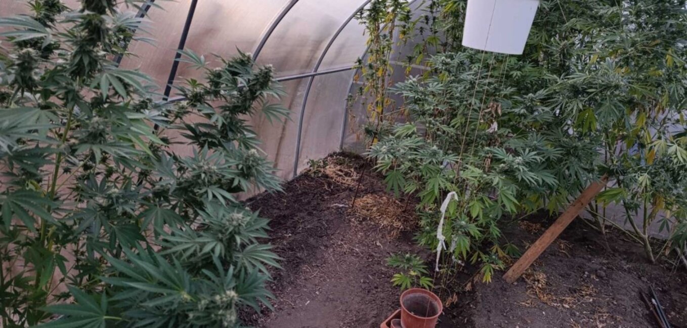 За ден задържаха трима за наркоразпространение във Варна