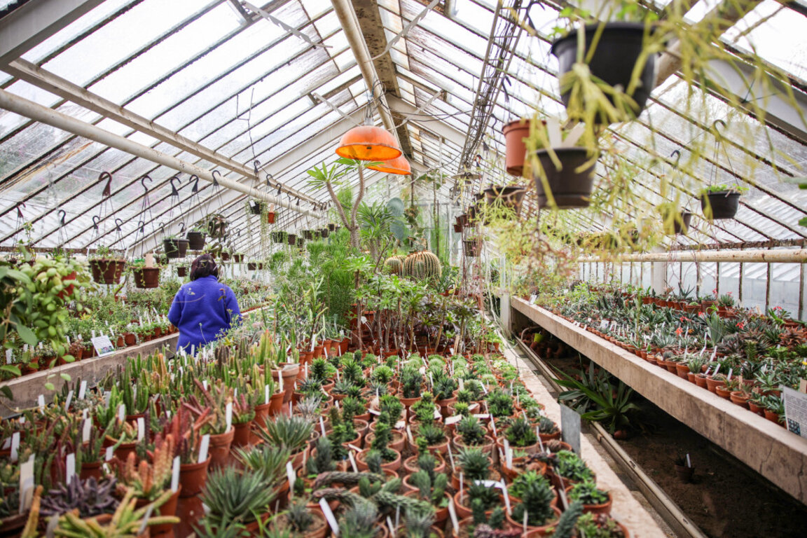 El Jardín Botánico espera visitantes para “Reuniones otoñales con las plantas”