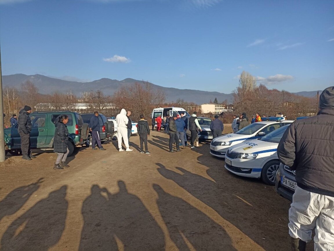 Velingrad sheep breeders are fighting to protect their herds