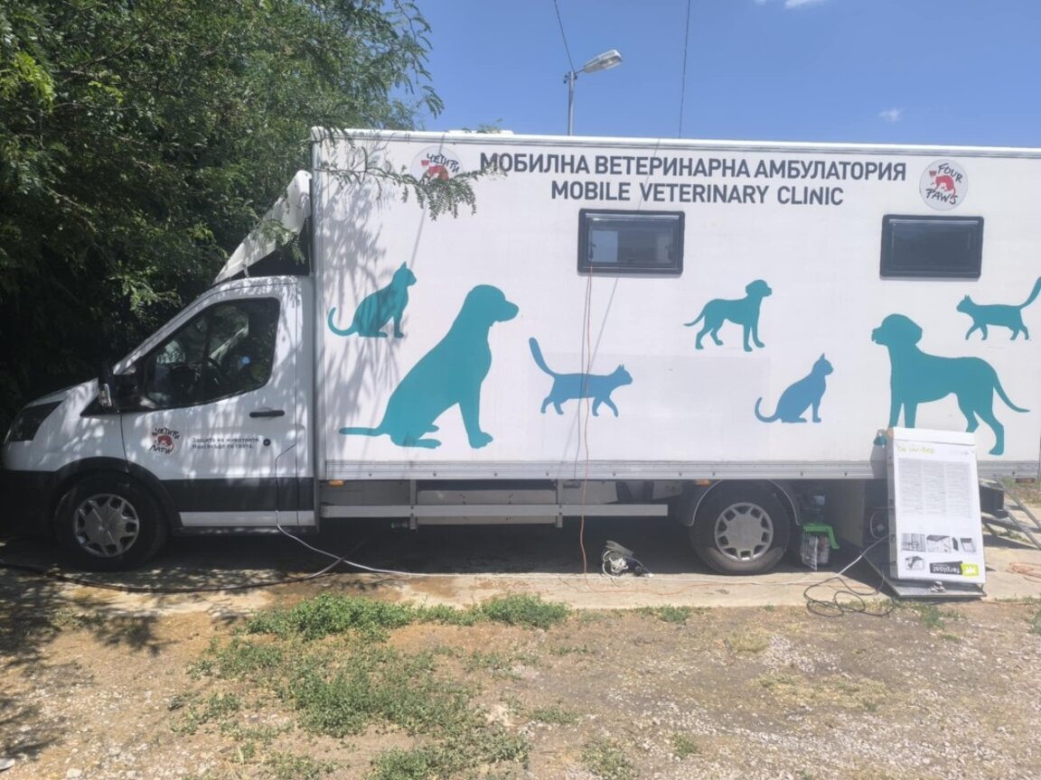 Община Видин пуска ваучери за отстъпка за кастрация