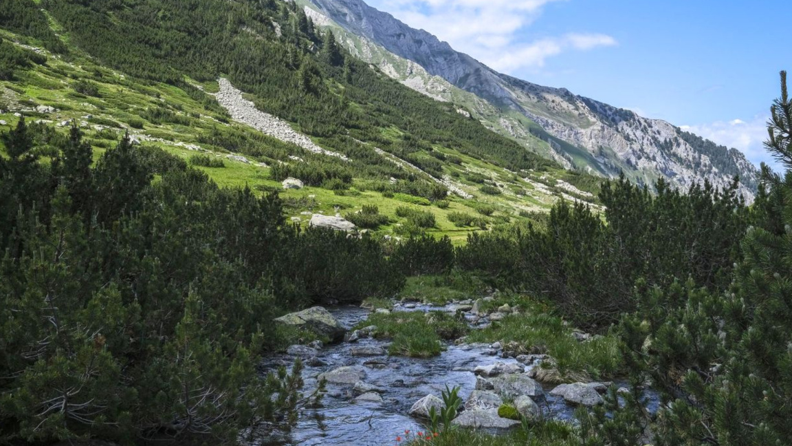 Between natural endowments and the challenges of sustainable development
