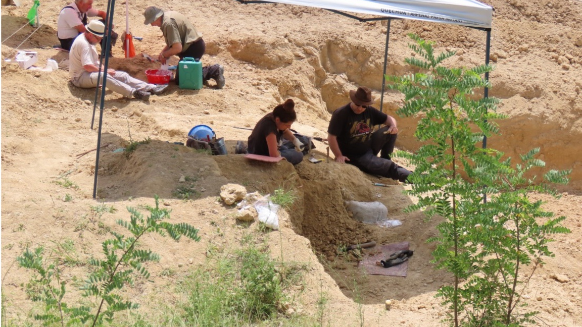Бедрена кост от Чирпан може да промени историята на човешкия произход