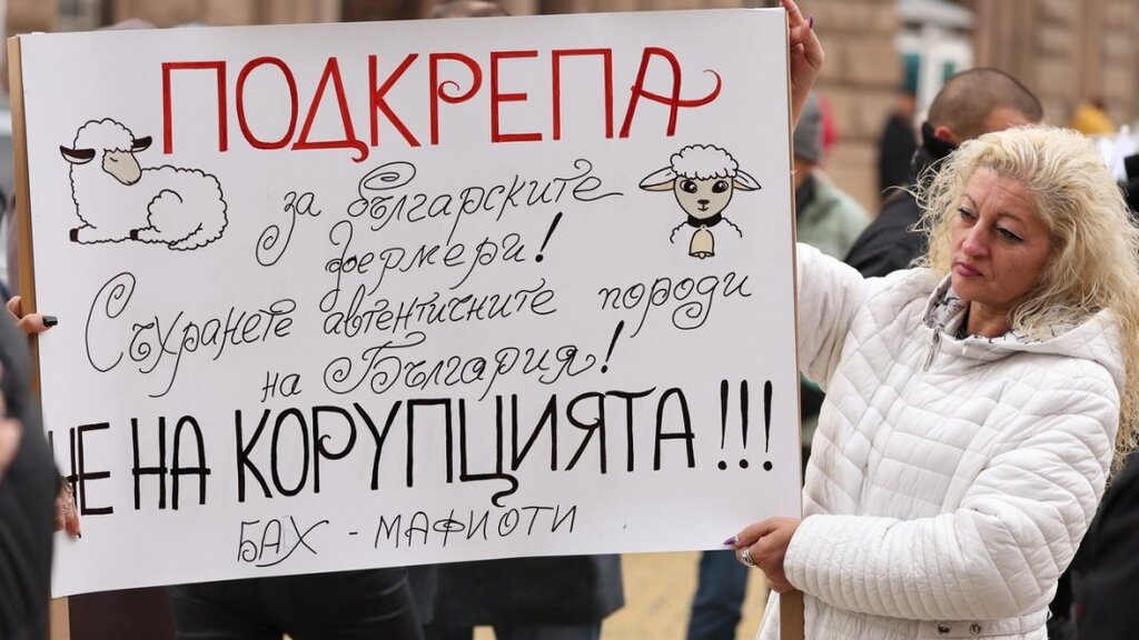 Протестиращи пред МС поискаха оставката на шефа на БАБХ заради казуса с чумата по овцете
