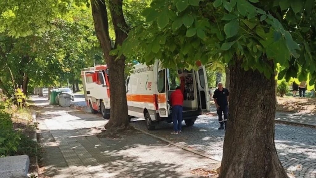 Почина мъжът, върху когото се стовари клон на дърво