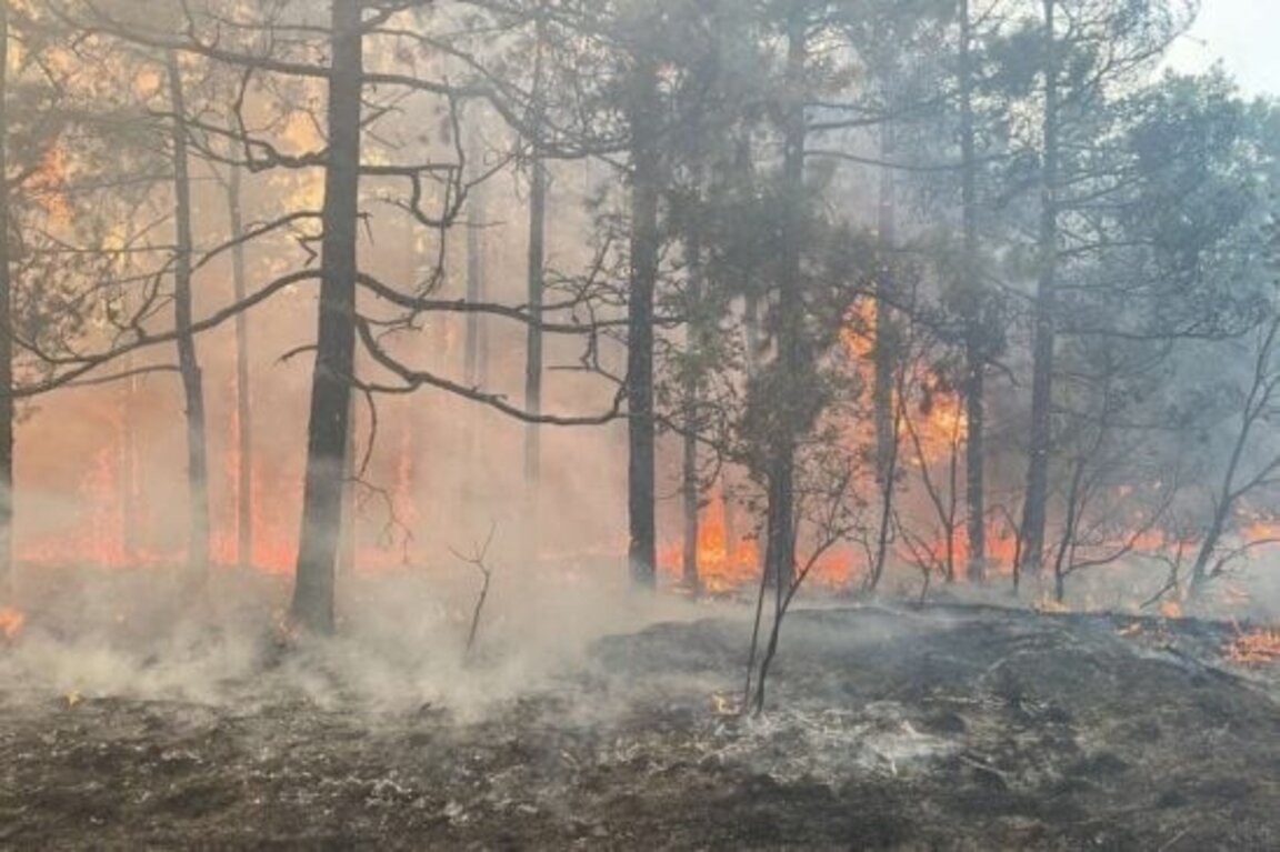 В Средна гора остана един, но мащабен пожар между Михилци и Хисаря