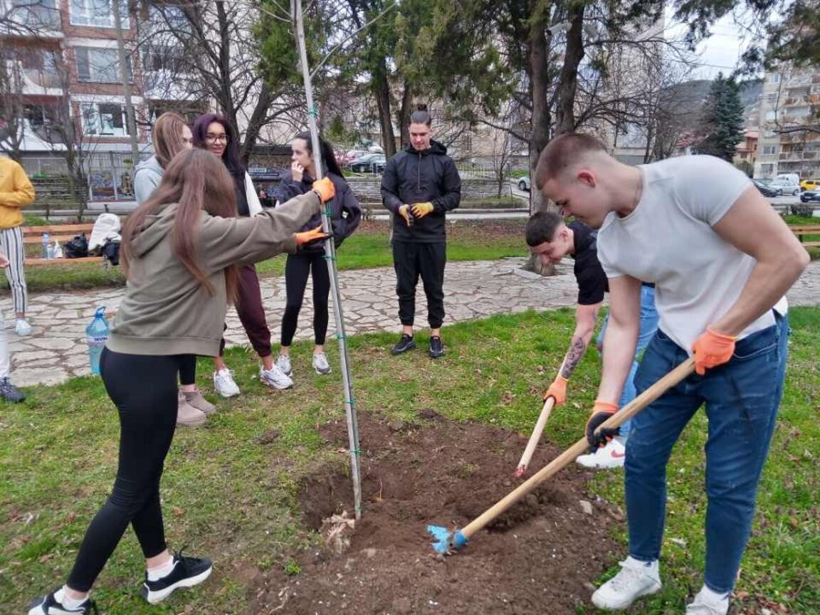 В Кюстендил започна залесителна кампания