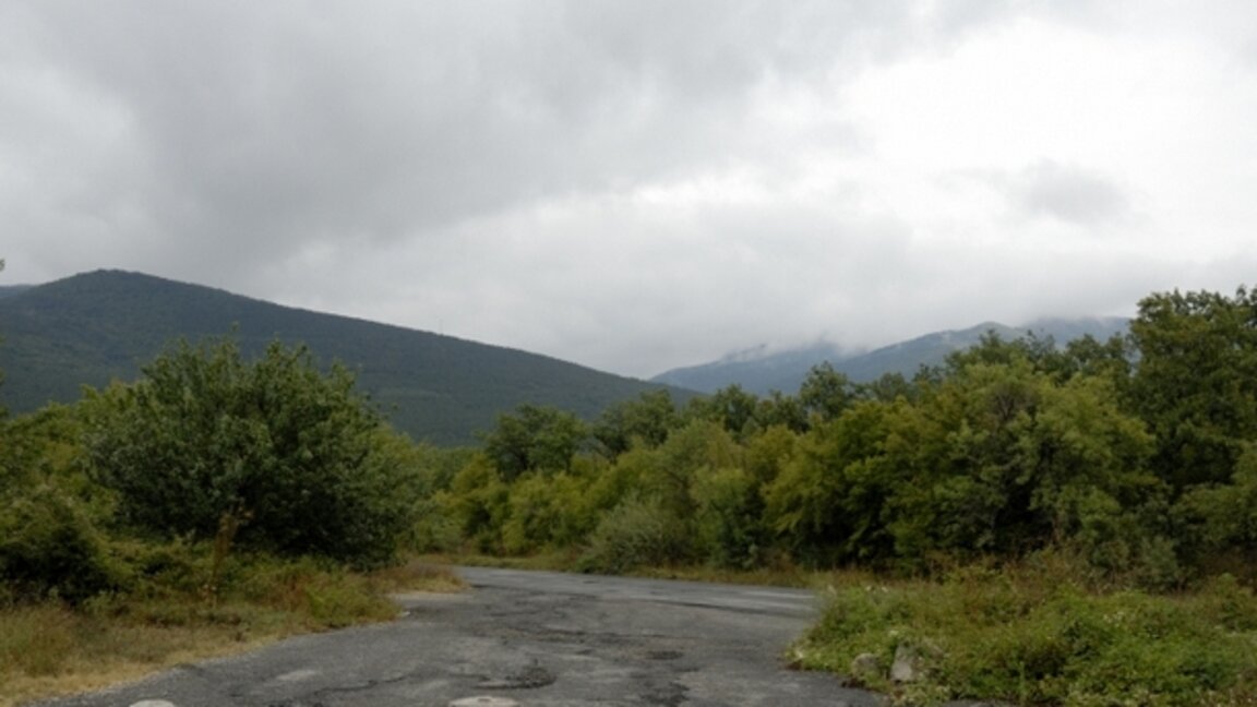 Върбишки проход