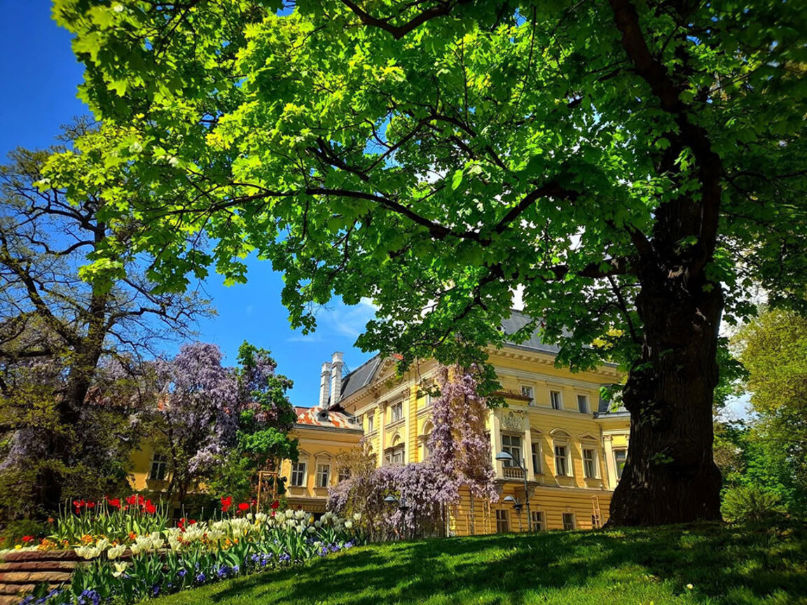 От 1954 г. до днес Националният етнографски музей се помещава в източното крило на Двореца, където са били спалните стаи, приемните и личните кабинети на царското семейство.