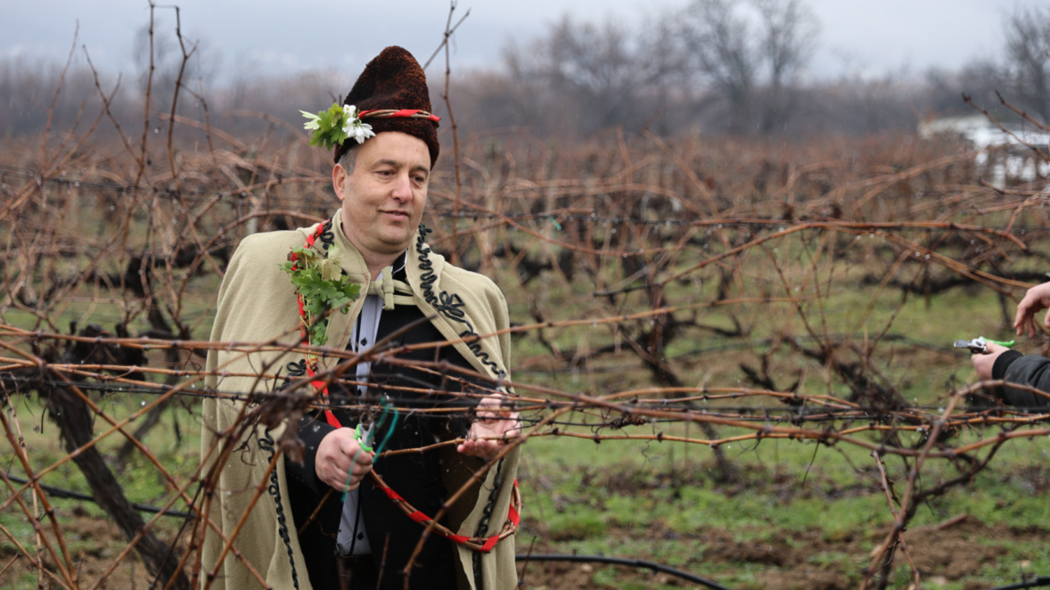 Winegrowers mark Trifon Zarezan amid irrigation concerns