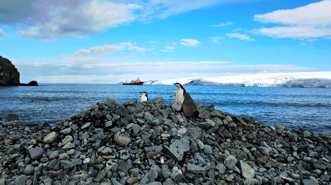 34. Ulusal Antarktika bilim seferi başarıyla gerçekleşti