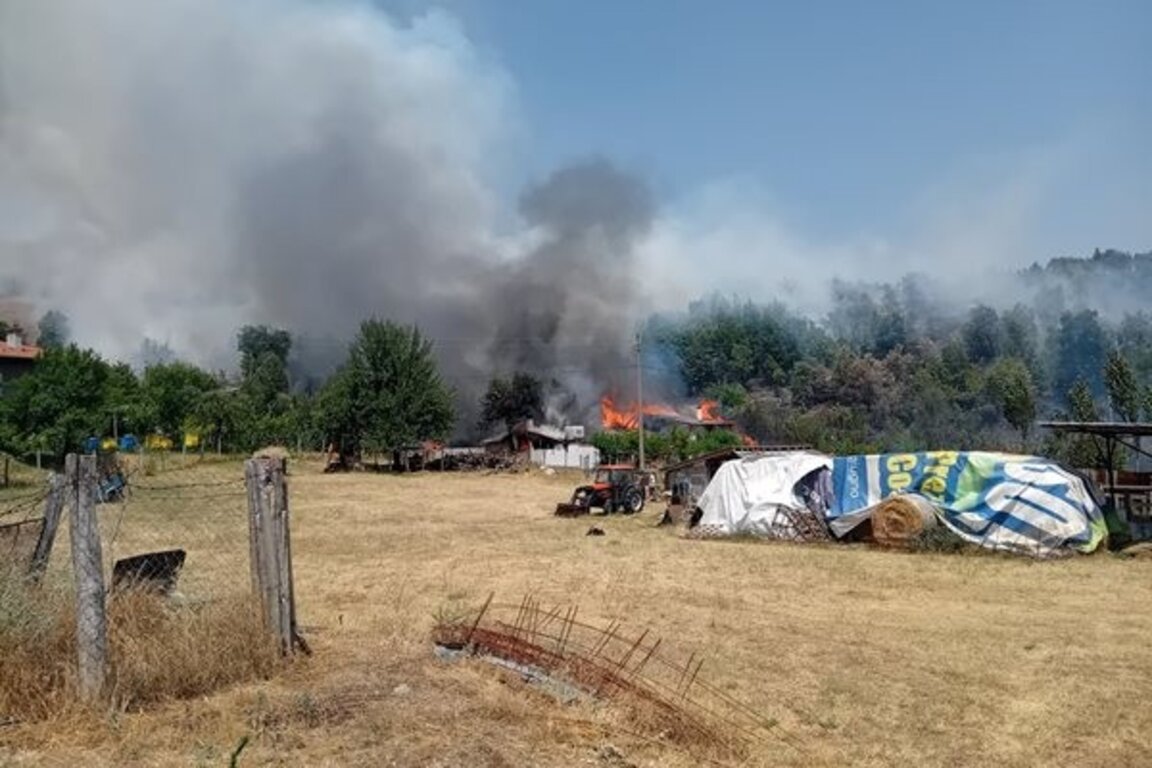 Пожарът в с. Воденичарово е потушен, няма пострадали хора и обитаеми къщи