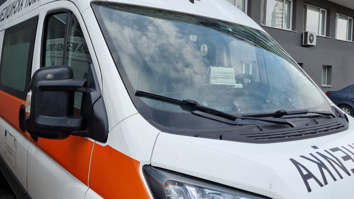 Няма опасност за живота на децата, нападнати от куче в Бургас 