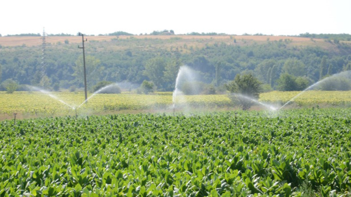 Снимката е илюстративна