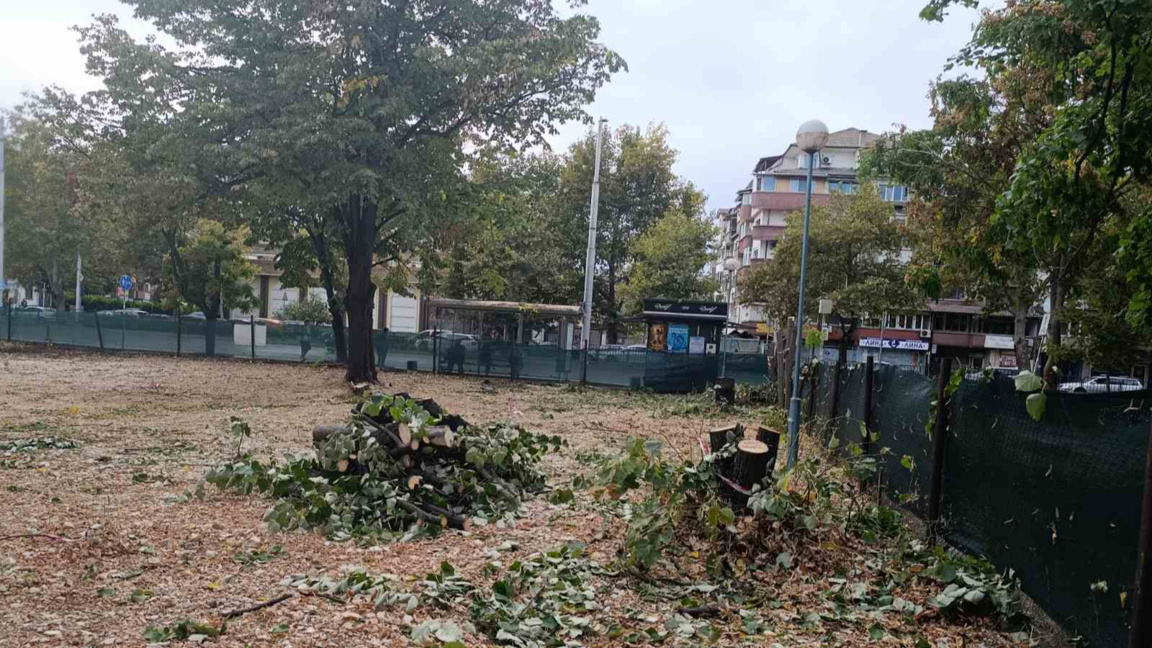 Жители на "Източен" искат проверка на терен за строеж и изсичането на дървета