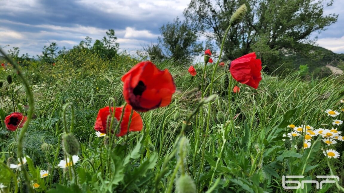 Météo : Températures de saison...
