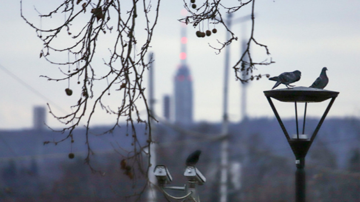 Студено утро и риск от навявания