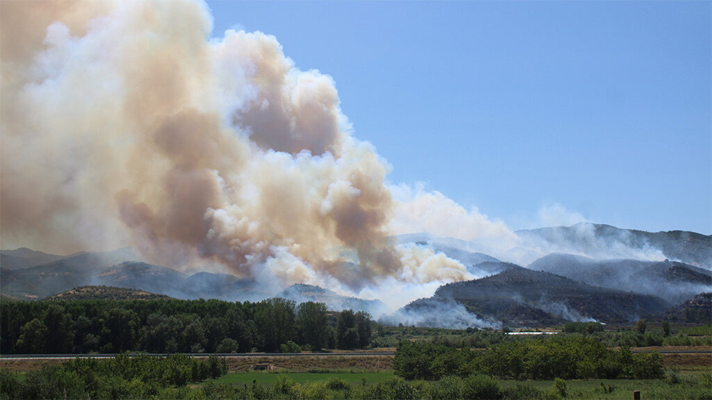 Константин Чолаков: След среща с премиера ще решим за протестите на горските