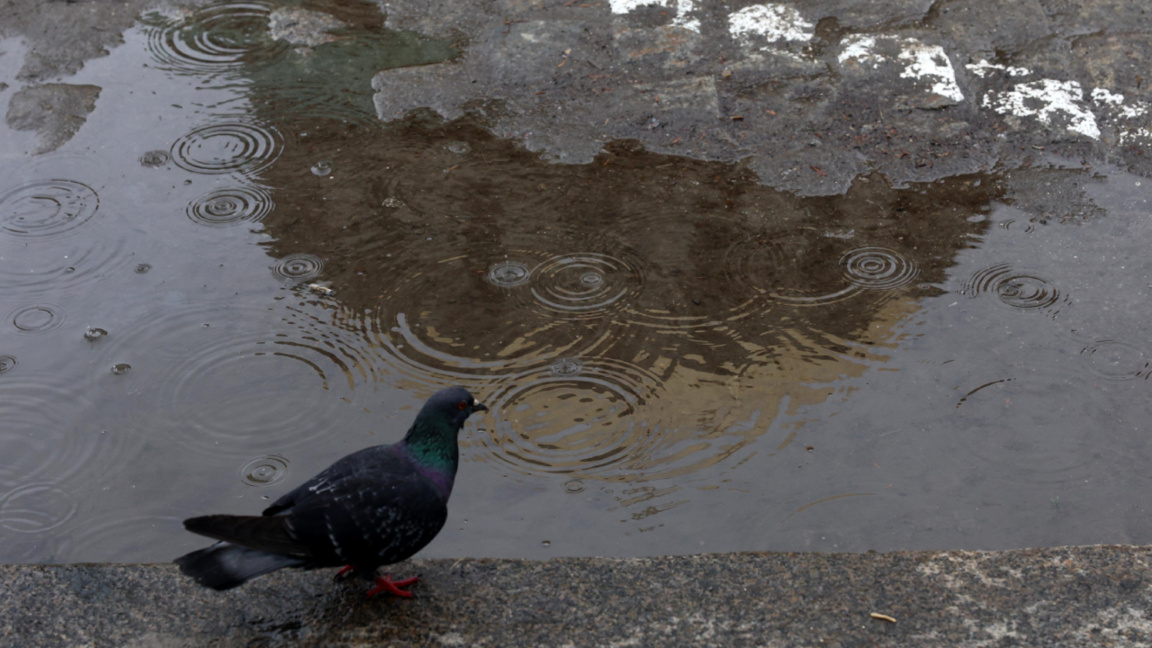 Прогноз погоды на 22 апреля