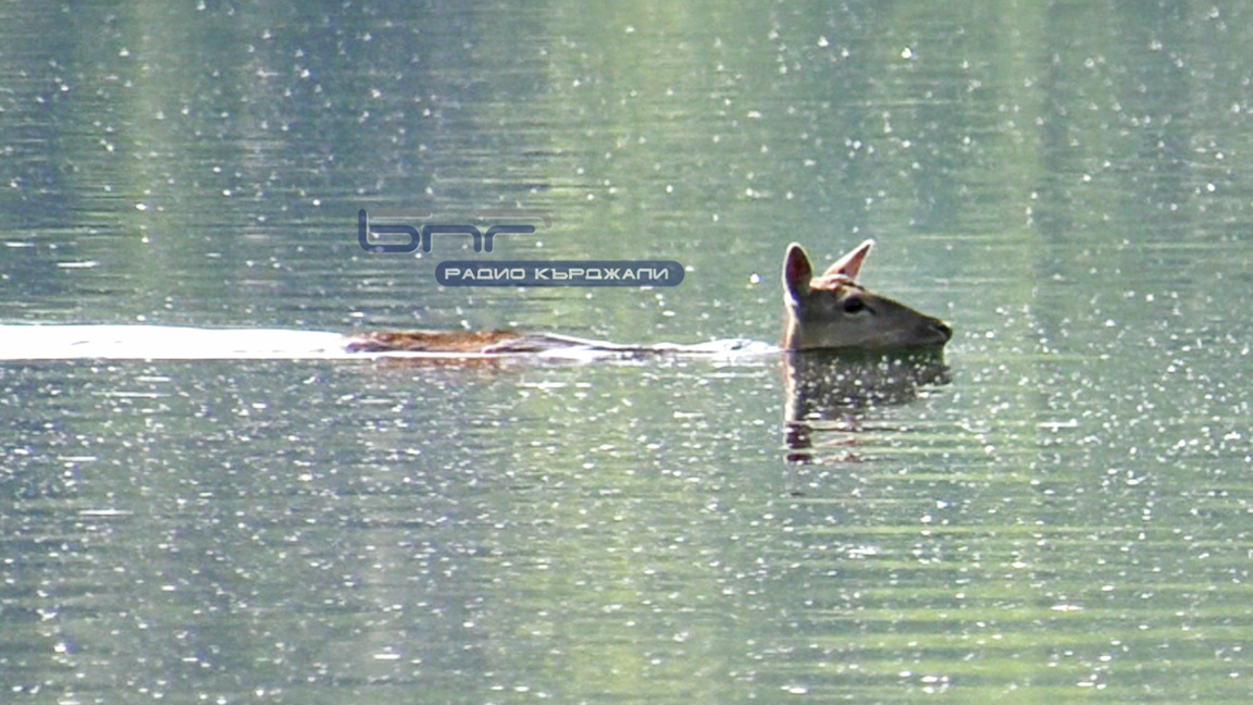 Лятото на 2025 г. е най-сухото от 1930 г. насам