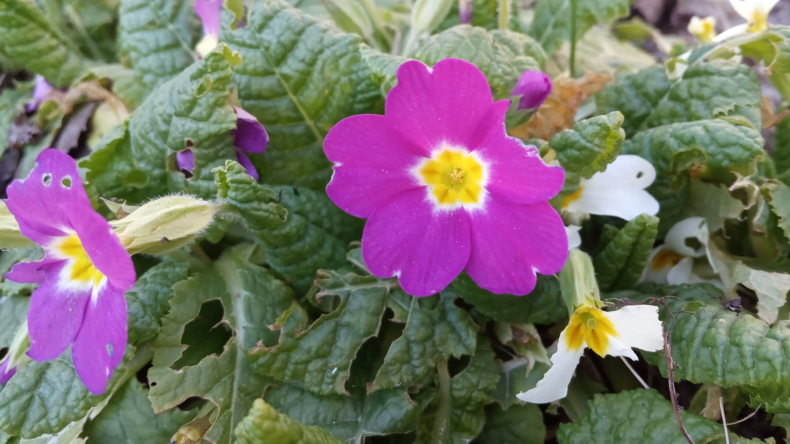 Времето във вторник