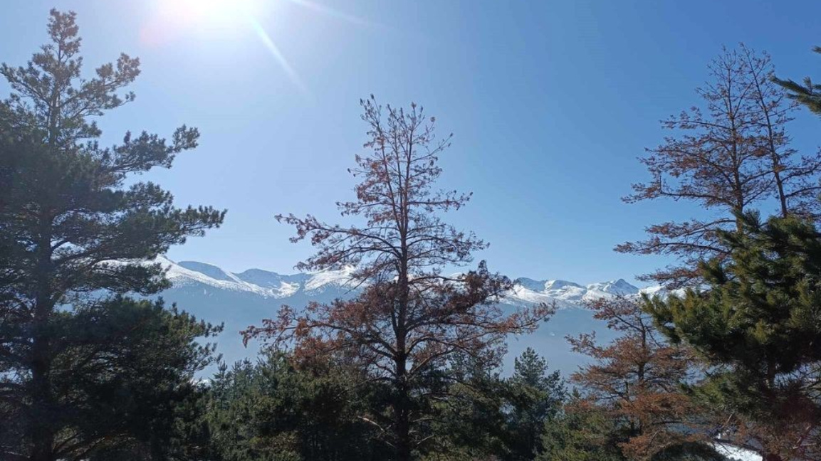 Седмицата започва с разкъсана облачност, но по-високи температури 