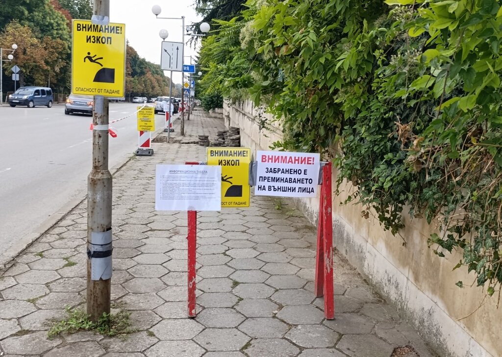 Временна организация на движението