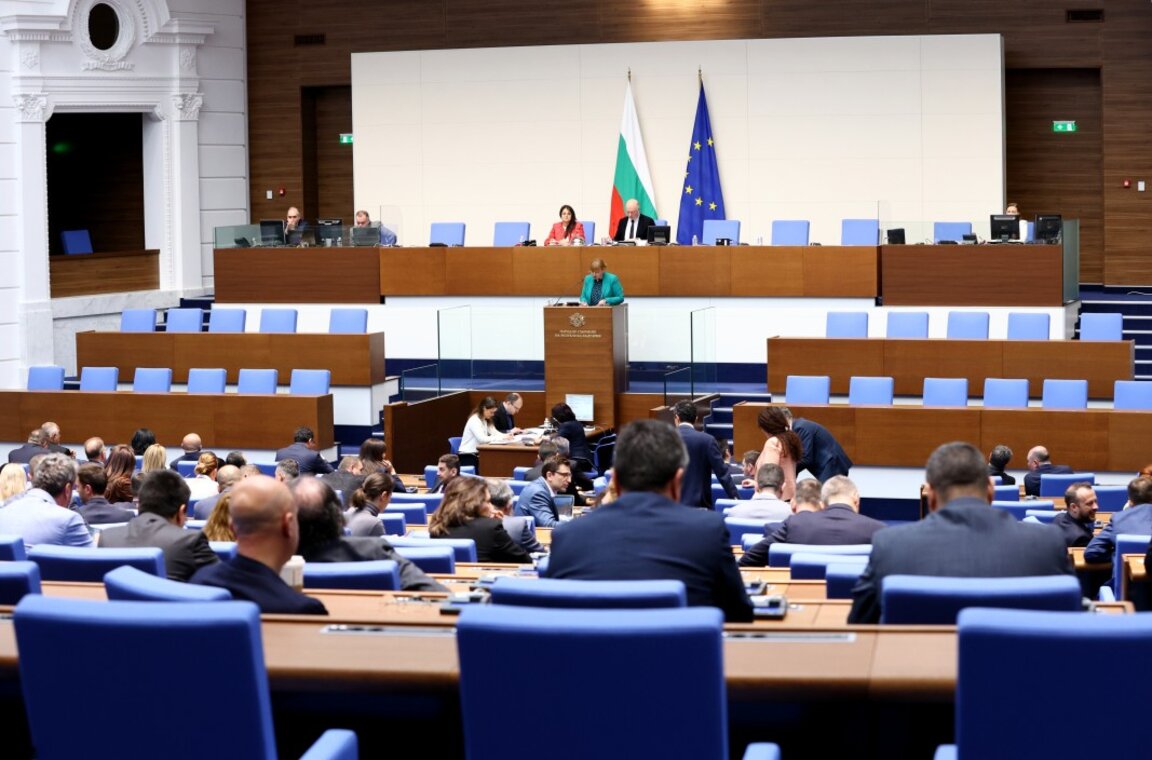 Un Consejo gubernamental coordinará las políticas para los búlgaros en el extranjero