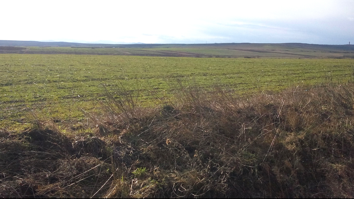 есенна сеитба