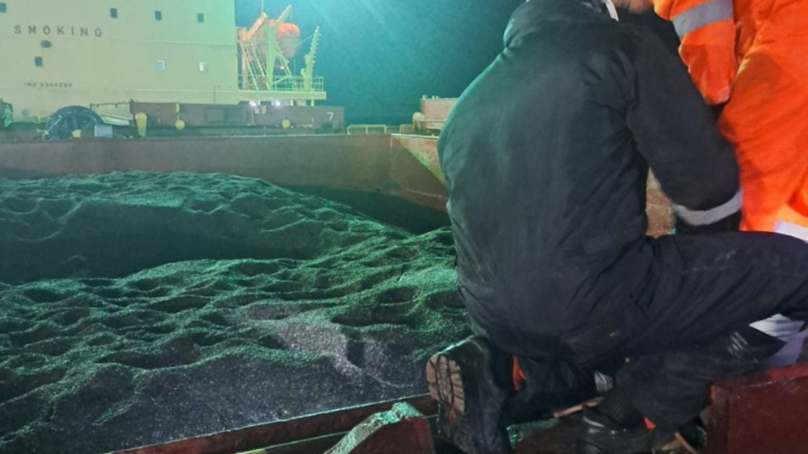 El girasol argentino suministrado a Bulgaria contiene pesticidas 