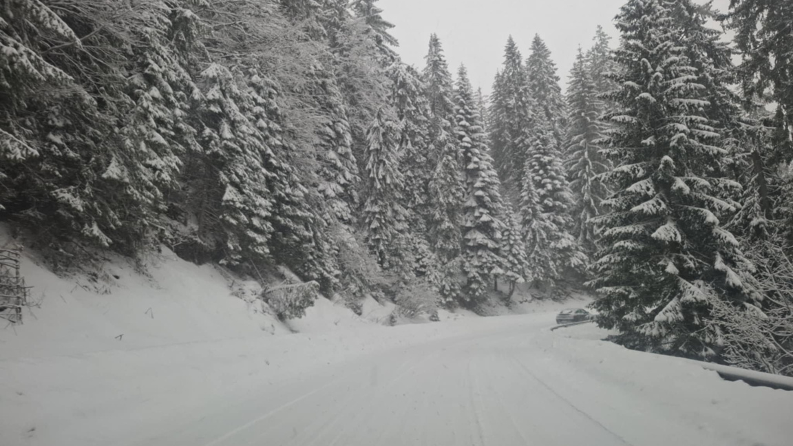 Обилен сняг вали в Родопите, всички МПС-та трябва да са с вериги