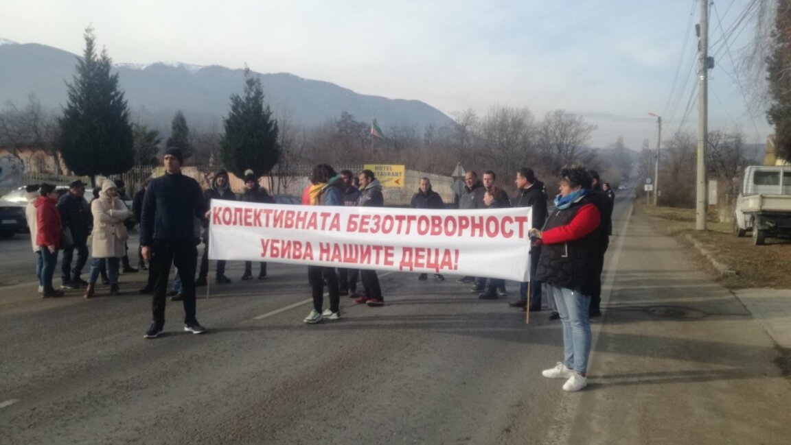 Назначават втори пазач заради безстопанствени животни край пътищата в Кюстендилско