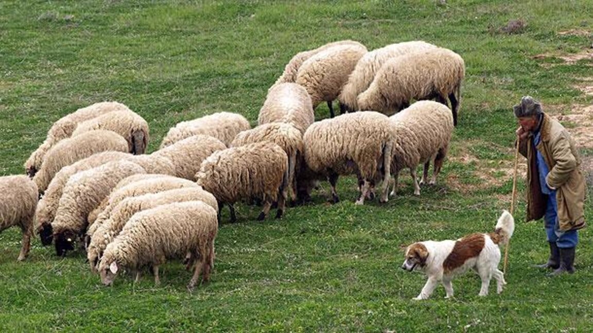 Bulgaria introduce desinfección obligatoria en todos los puntos fronterizos