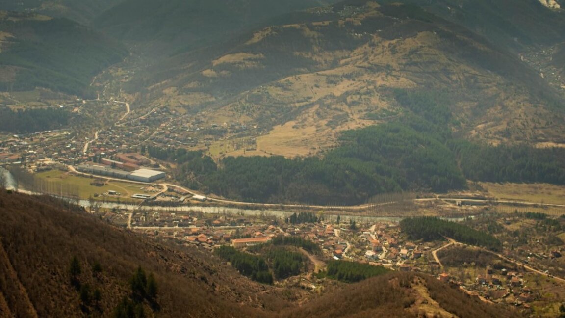 Проверяват сигнал за инвазивен вид кактус край село Зверино