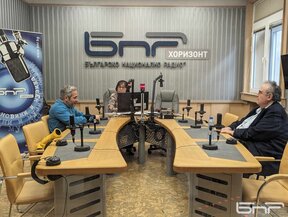 Политолози: Икономиката не печели от "въздушен Шенген", добре е за туристите