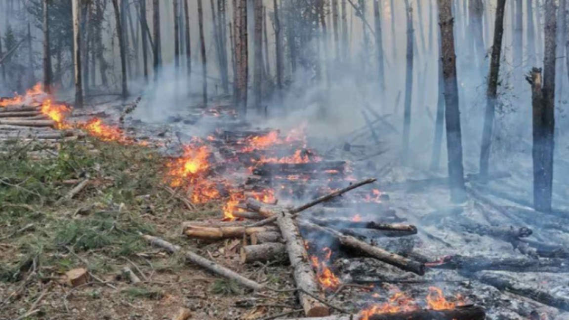 Овладян е пожарът край село Самуилово