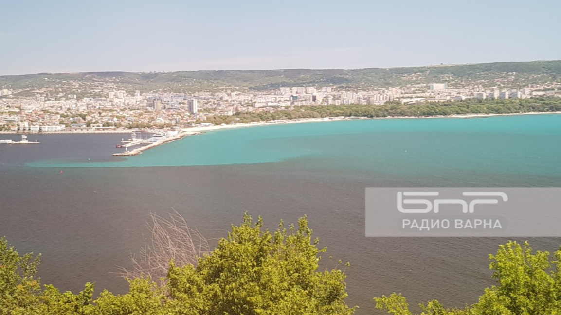Няма видими признаци за замърсяване на Варненското езеро