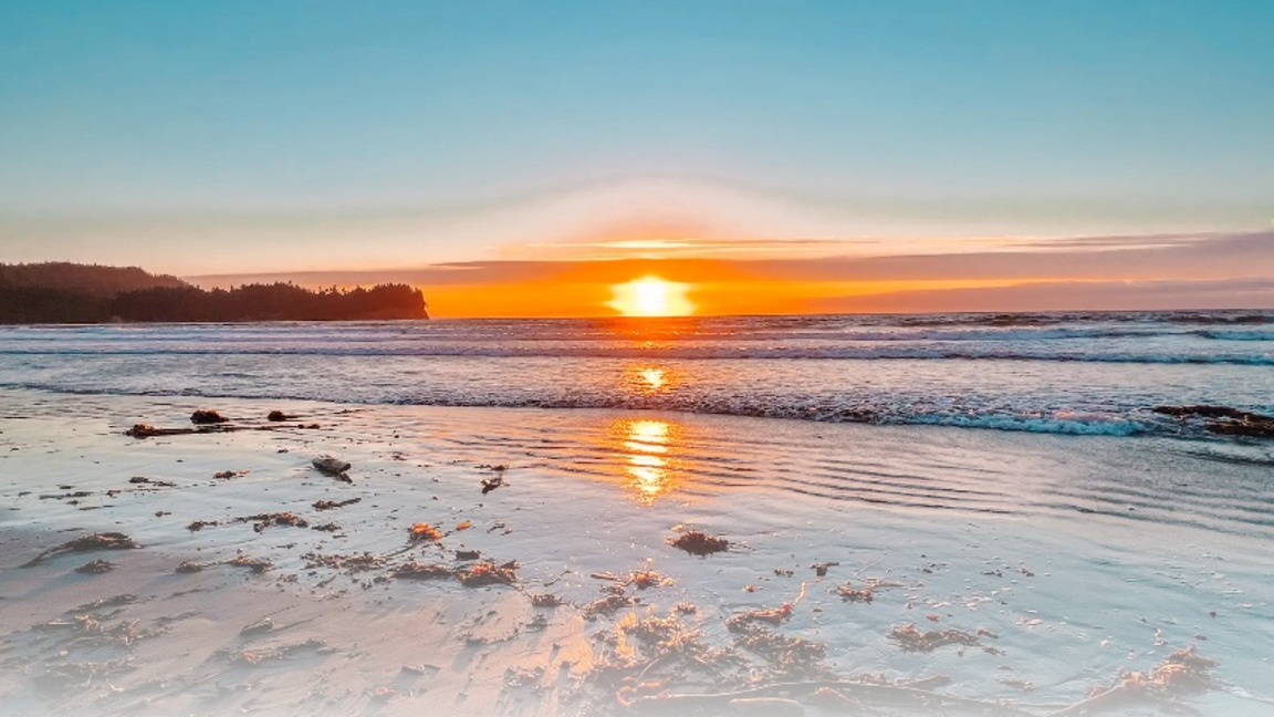 Във времена на кризи: От какво се страхуват и нуждаят туроператорите?