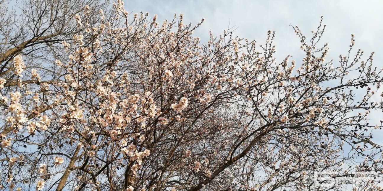 НА СВЕТЛО на 18 март с Валерия Василева