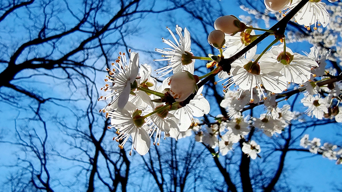 „Посоките на деня“ с Мария Благоева