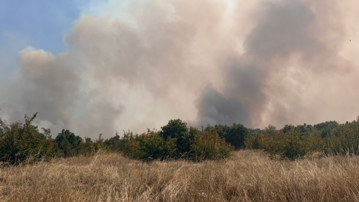 Partial state of emergency declared in four villages near Haskovo due to fire