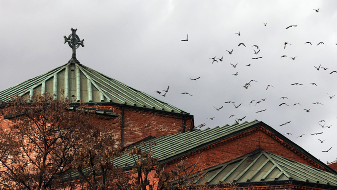 Météo : Grisaille au Nord, soleil pâle au Sud…
