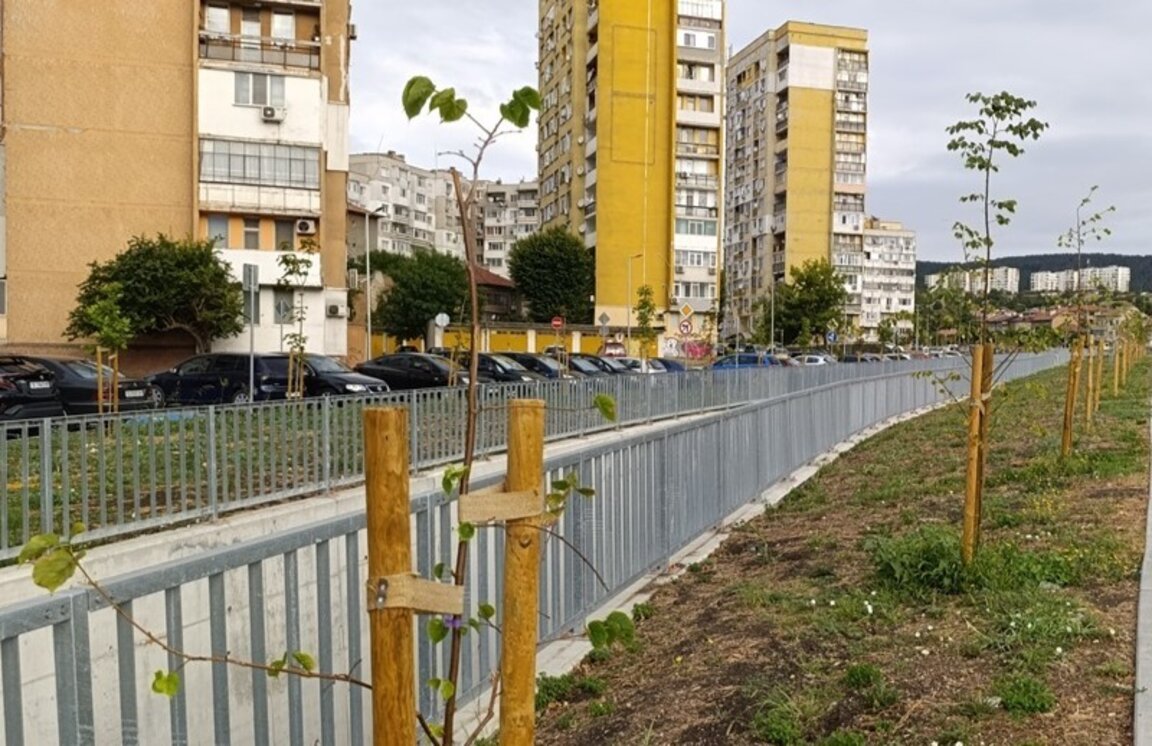 3000 нови дръвчета в Шумен