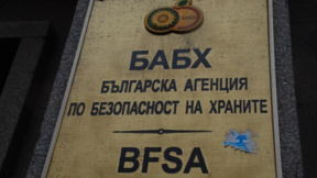 Иззети са над 500 кг хранителни продукти без документи на "Капитан Андреево"