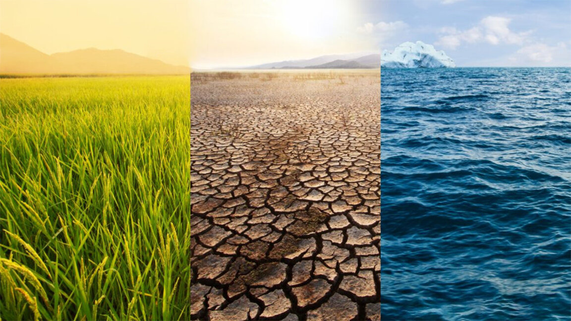 People in Bulgaria divided over measures to adapt to climate change: EIB poll