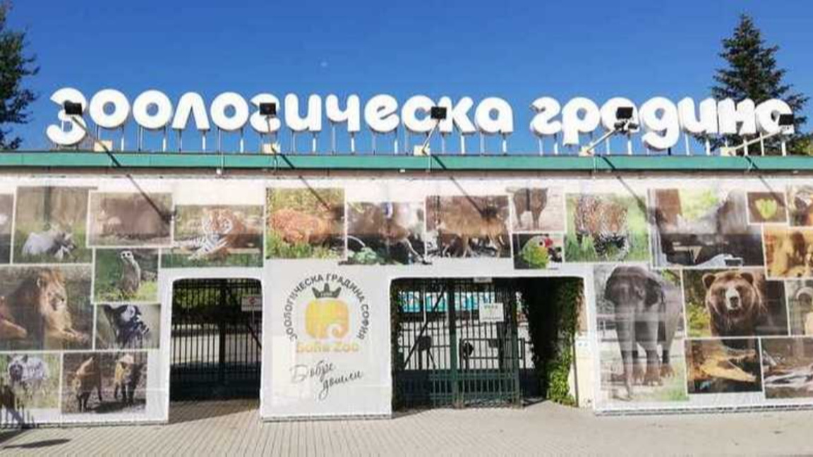 Зоологическата градина в София организира Ден на лешоядите