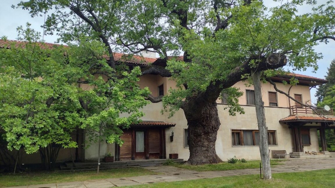 Pallati i gjuetisë në Kriçim është një vend i vërtetë mbretëror