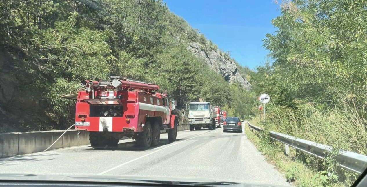 The fires in Bulgaria's Rhodope Mountain destroy century-old forest (update)